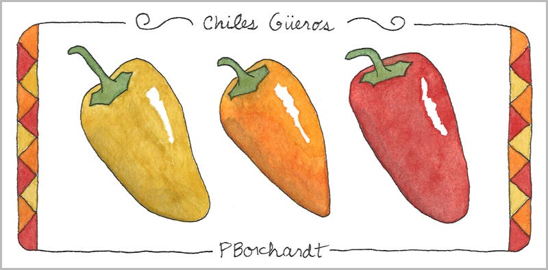 Chiles Güeros (pen & watercolor)