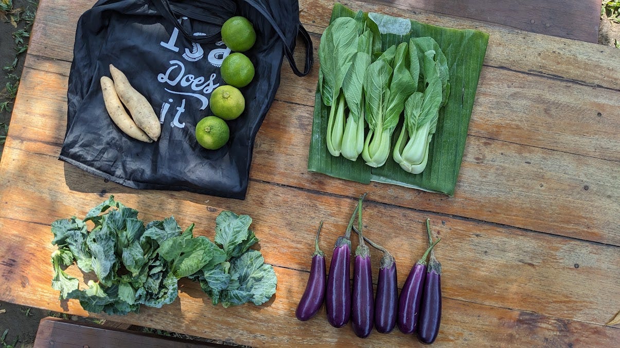 table of produce