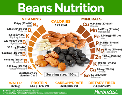 beans nutrition