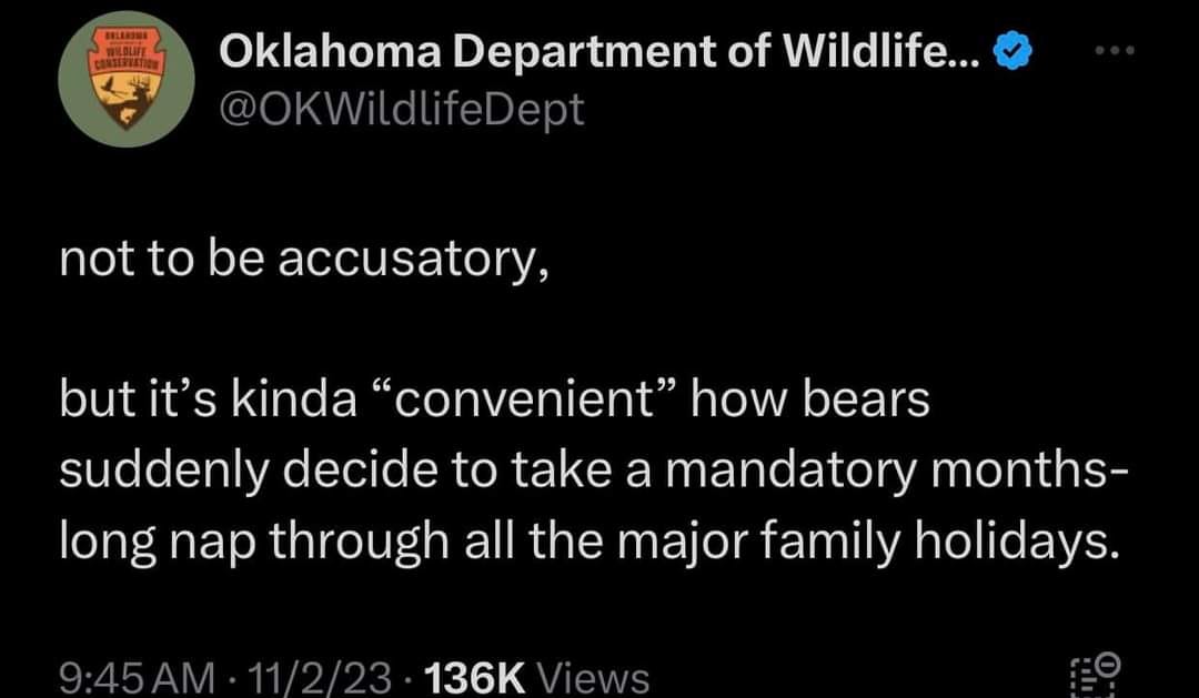 Oklahoma Department of Wildlife tweets, "not to be accusatory, but it's kinda 'convenient' how bears suddenly decide to take a mandatory months-long nap through all the major family holidays."