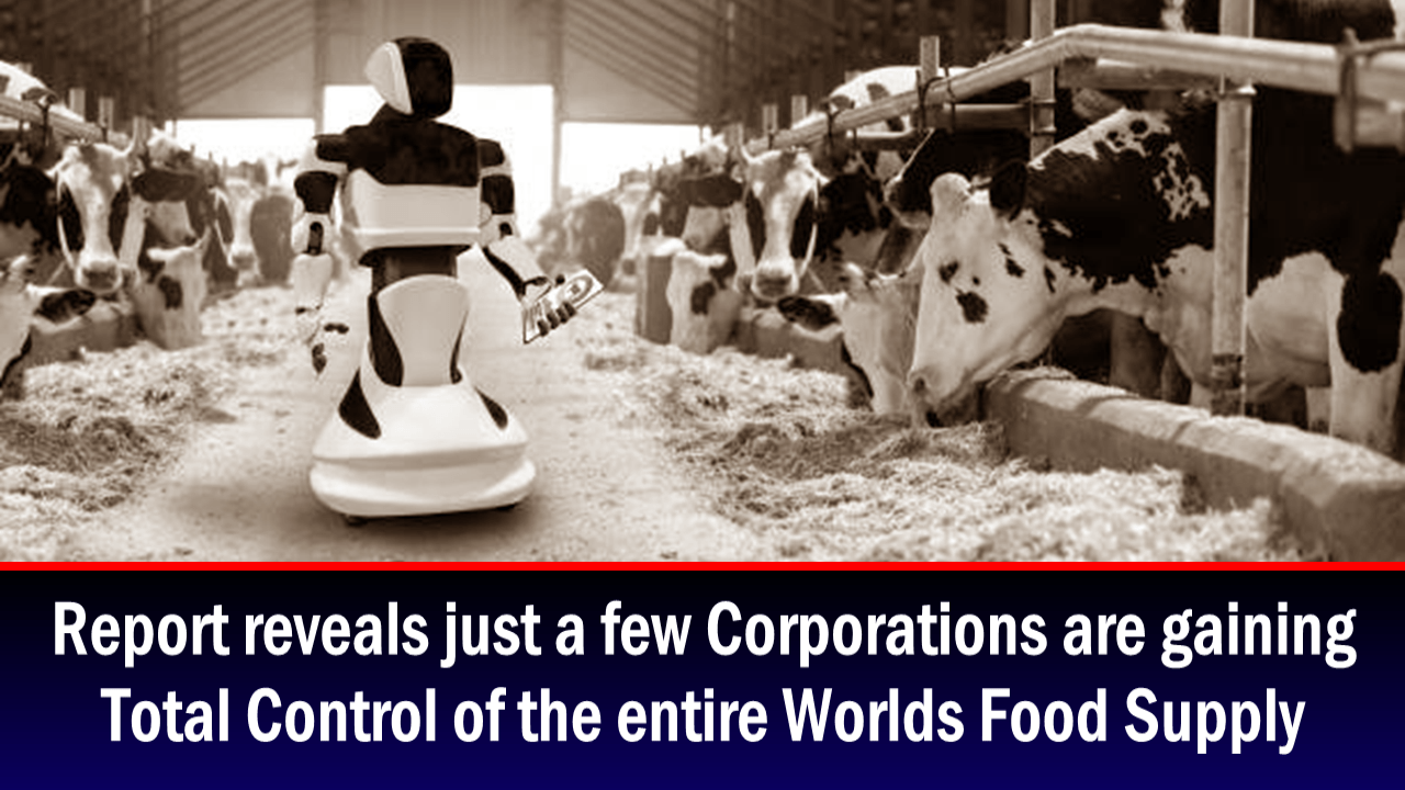 Έκθεση Περιγράφει Λεπτομερώς Πώς Μια Χούφτα Εταιρείες Παίρνουν Τον Έλεγχο Του Παγκόσμιου Εφοδιασμού Τροφίμων