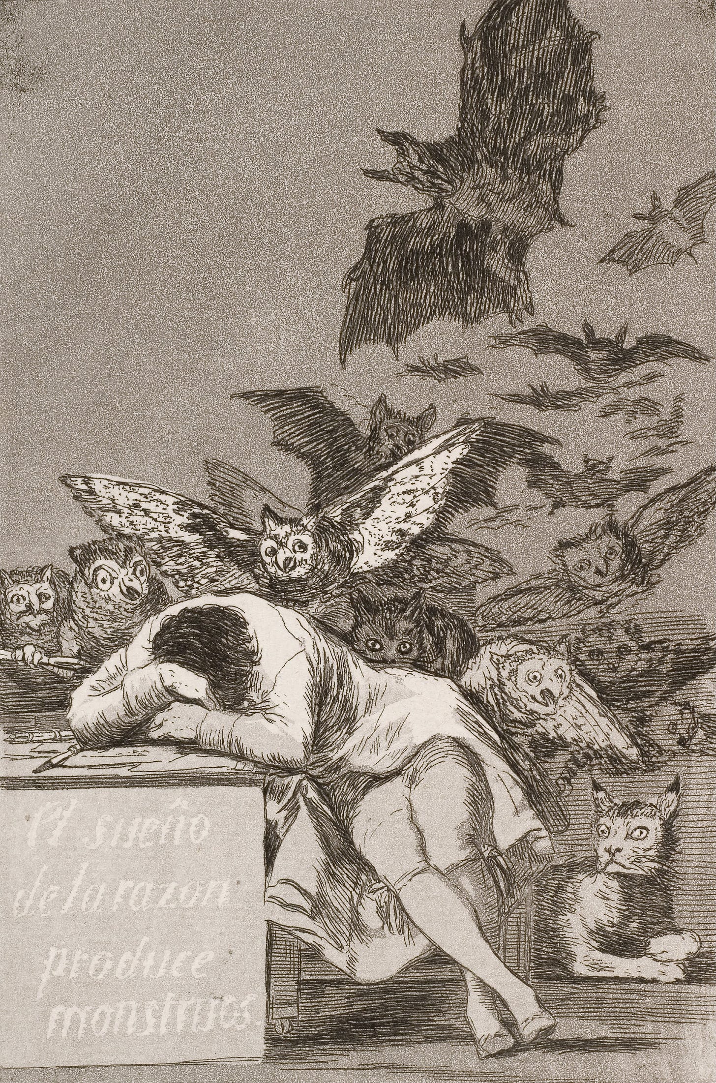 A famous etching by Francisco de Goya, this picture depicts a peacefully sleeping man surrounded by the monsters, both fanciful and terrifying, of his dreams. 