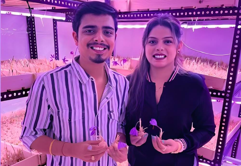 Nagpur Couple Cultivates Kashmir Saffron in Air, Earns Rs 50 Lakh Annually