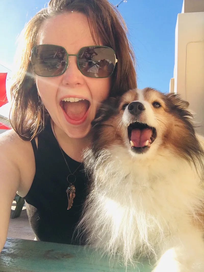 A tri-colored Sheltie dog with a white muzzle surrounded by rusty face fur and brown/black ears looks like he said “Ah” to the camera. A young woman wearing sunglasses has her mouth open like she said “ah” as well