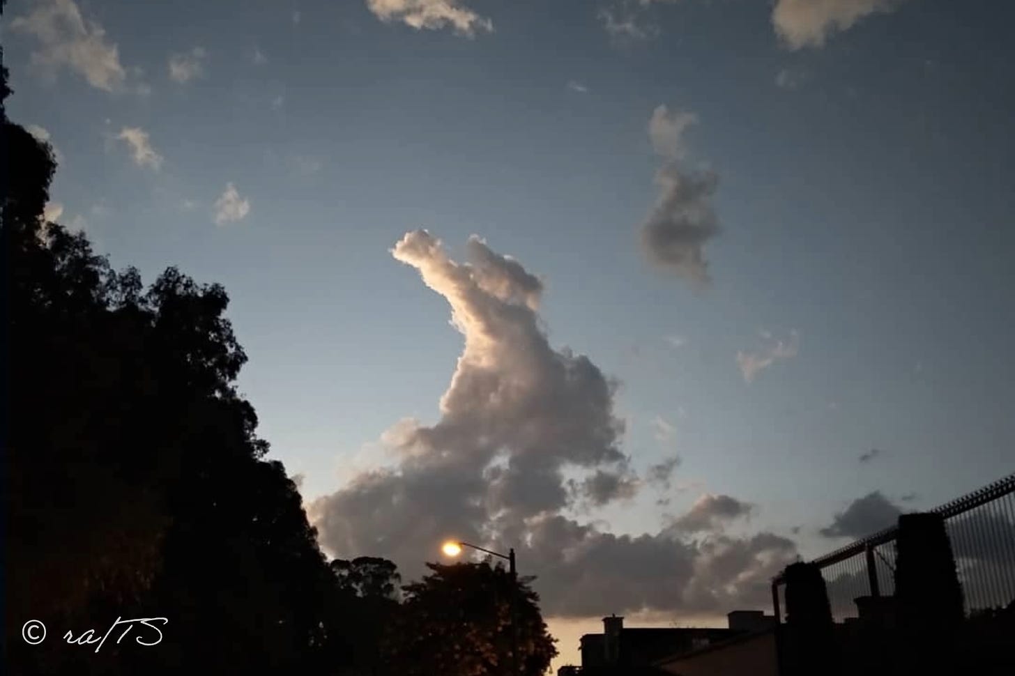 Nube con forma de conejo