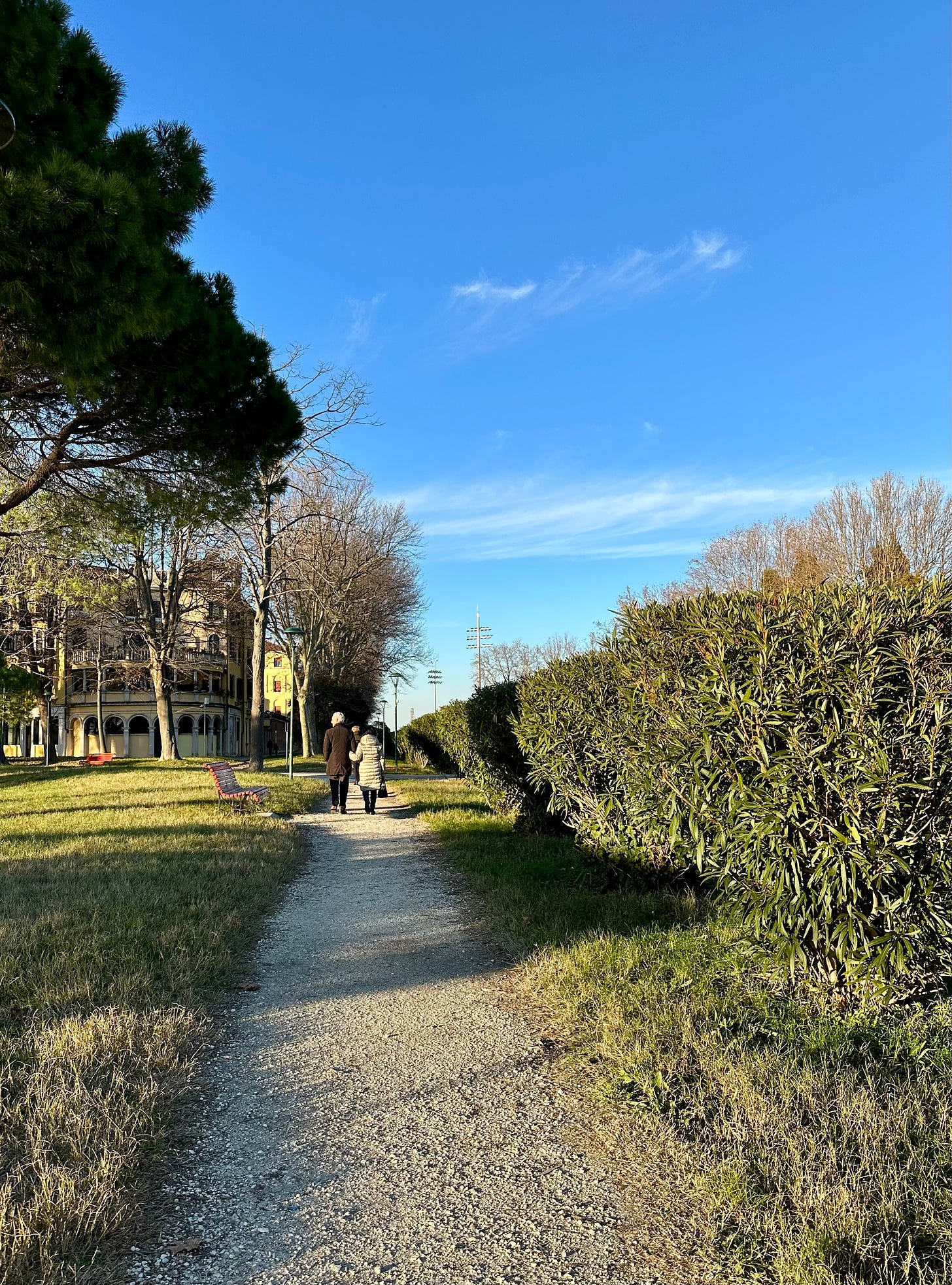 Winter stroll in the Parco delle Rimembranze, Sant'Elena Venice