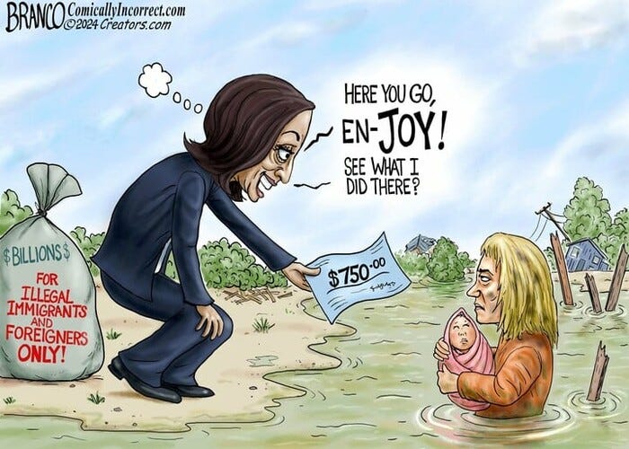 Best political cartoons: Kamala's campaign of 'joy' has its limits |  AllSides