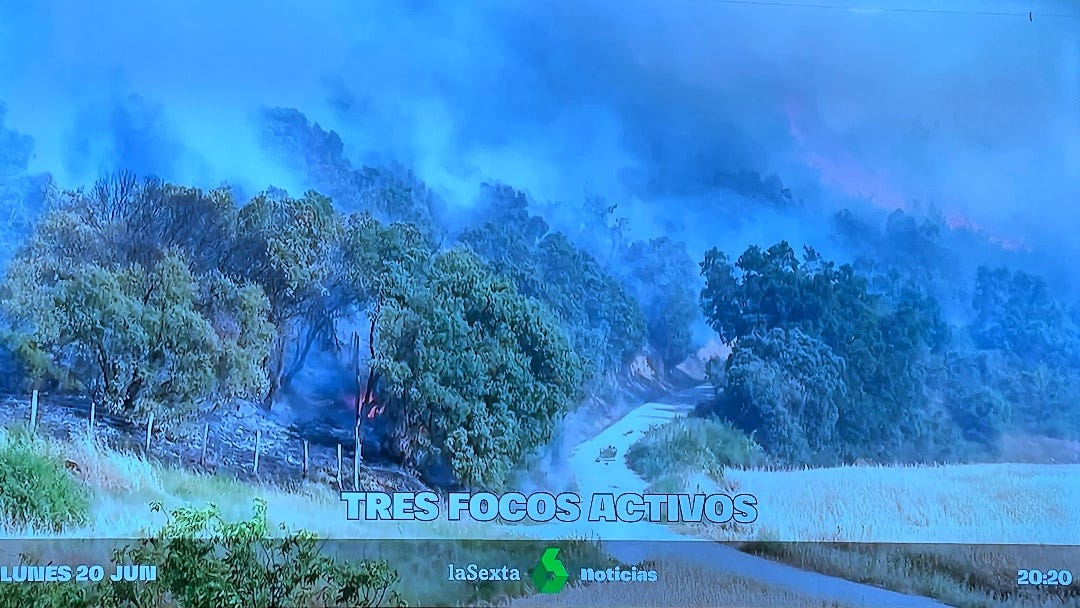forest fire on television screen
