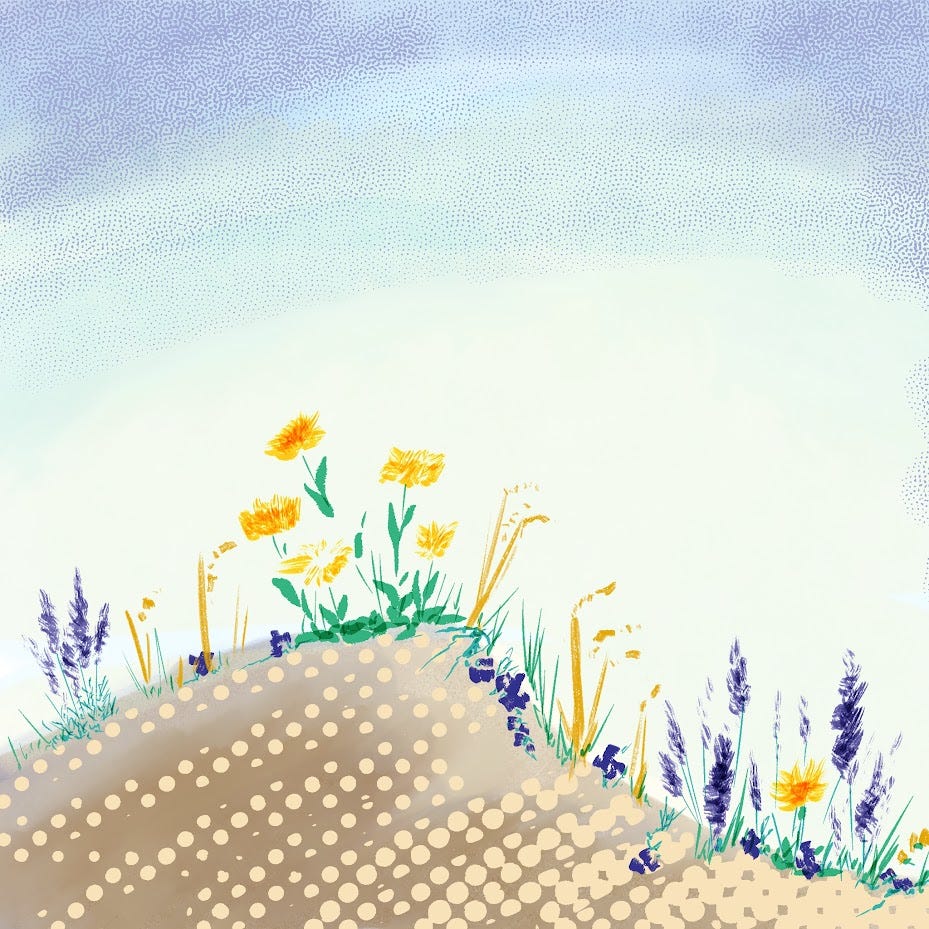 Color palette and flowers inspired by some of the wildflower walks I've been on recently. 