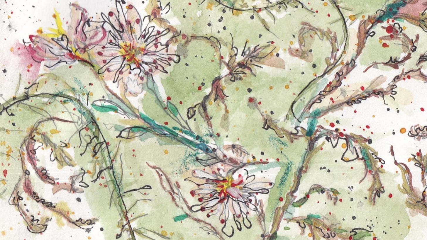extract from a watercolor and ink sketch of moss and wildflowers of the pacific northwest, with soft greens, yellows, and pinks