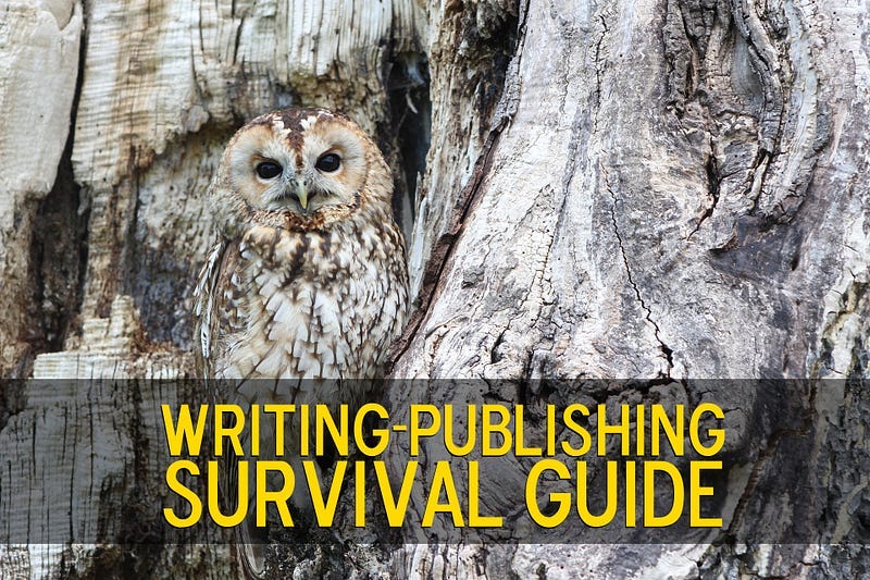 Writing-Publishing Survival Guide - A General Brain-dump of Successful Recipes and Systems.