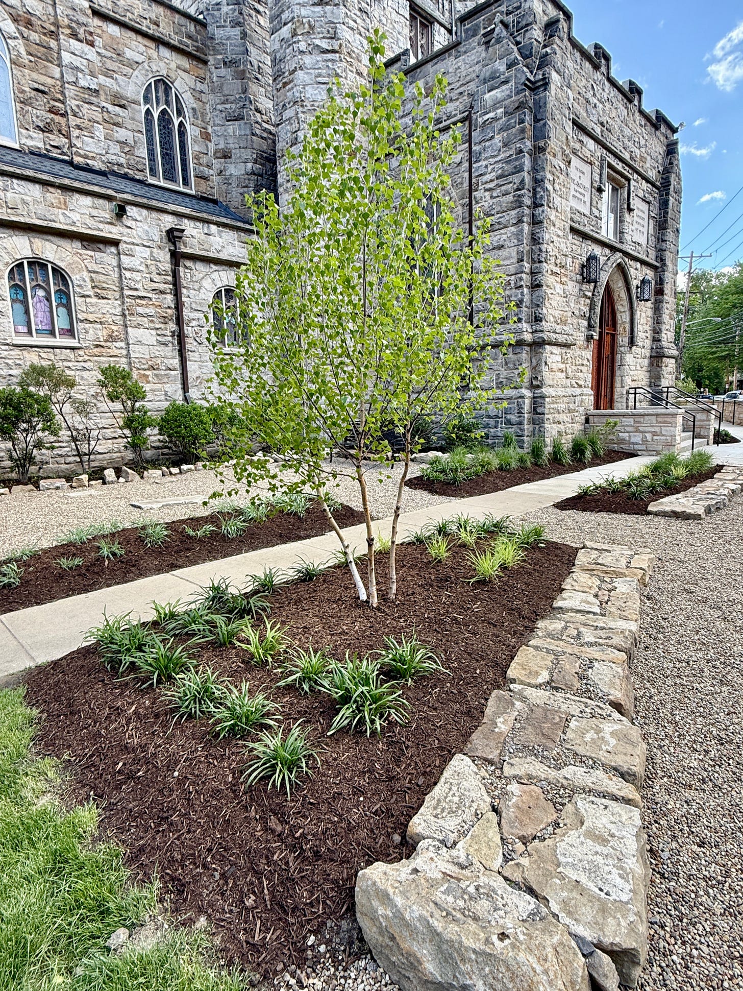 This sidewalk sees a lot of traffic every day by walkers who are looking for a short cut around the building. By planting on both sides we help them to have a moment of walking through with a garden on both sides. This sidewalk sees a lot of traffic every day by walkers who are looking for a short cut around the building. By planting on both sides we help them to have a moment of walking through with a garden on both sides.