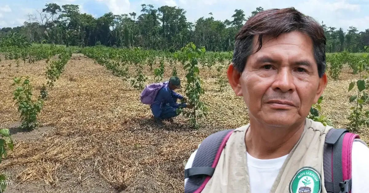 Líder shipibo impulsa reforestación en la Amazonía peruana