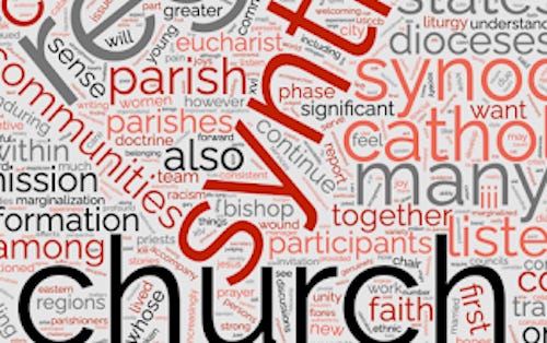 'Words, words, words' - Synodality synod reports, by the numbers