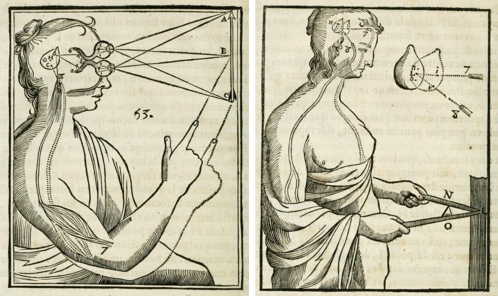 two side-by-side fantastical-scientific drawings depicting the inside and outside of a female robot, respectively. From the public domain.
