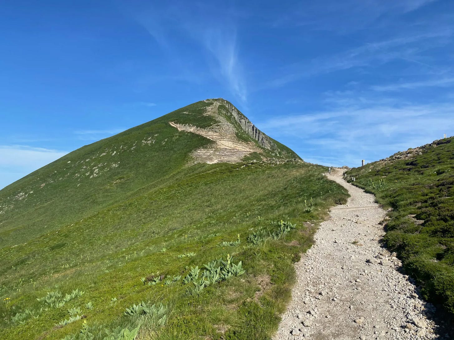 Sancy Sancy