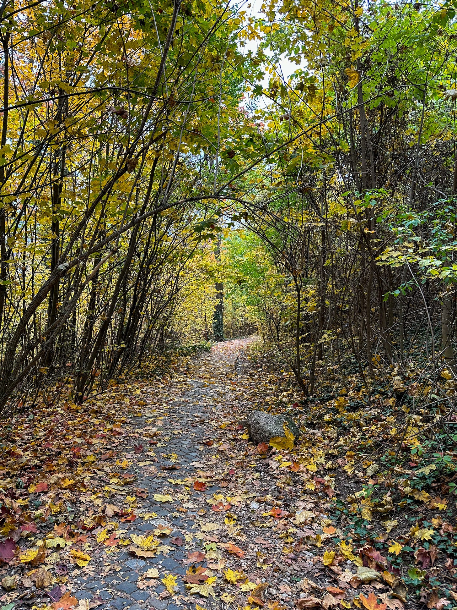 The trail along the Citadel 