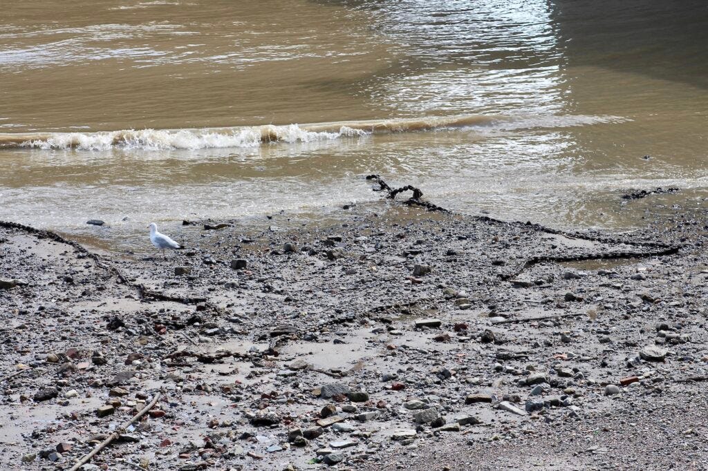 Low Tide Lottery on a Lambeth Reach foreshore – Ebb & Flow