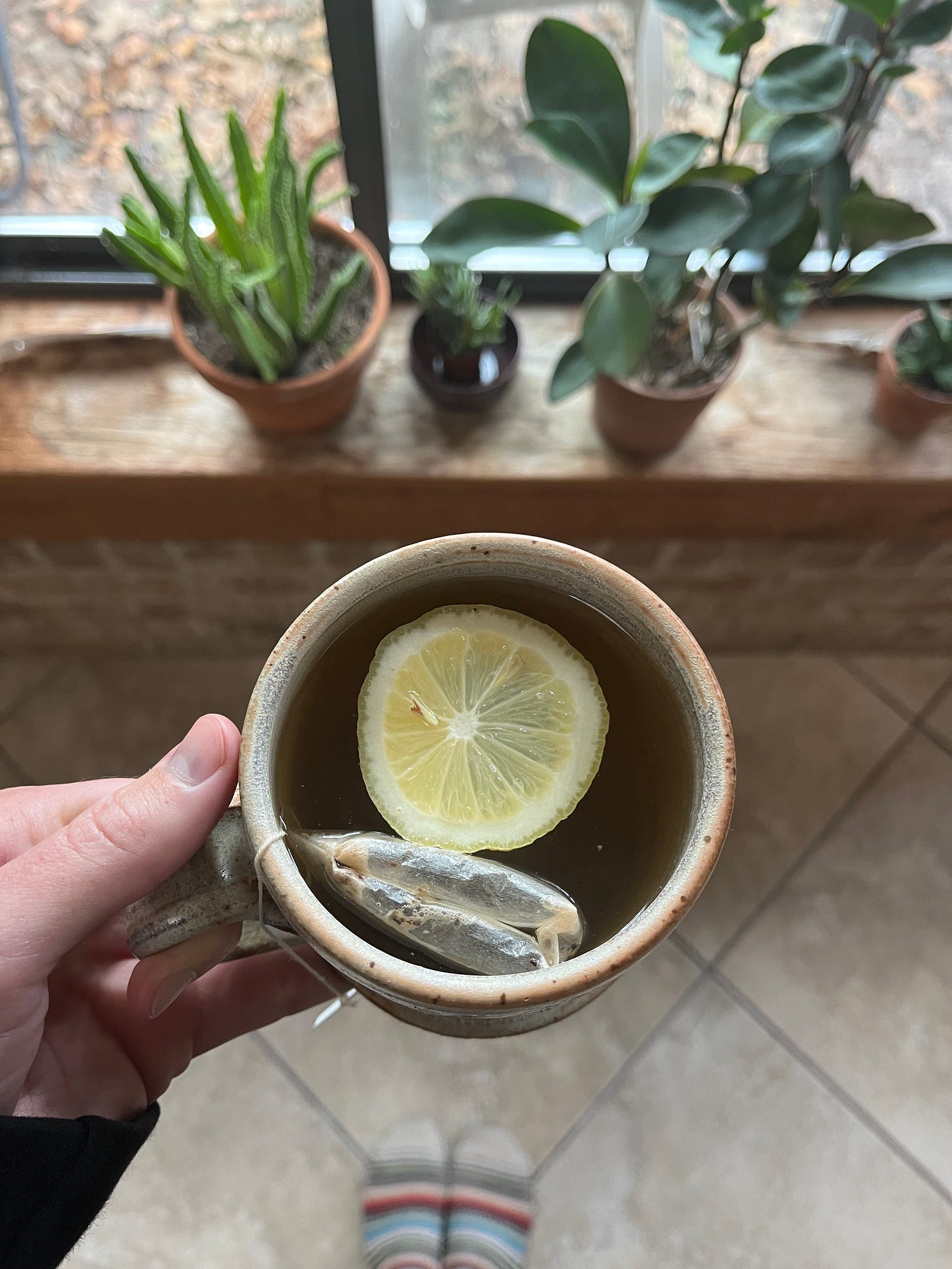 a hand holds a cup of herbal tea with a lemon slice; potted plants on a window sill in the background