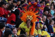 A Colombia supporter is seen in the stands during the Australia and New Zealand 2023 Women’s World Cup Group H football match between Colombia and South Korea at Sydney Football Stadium