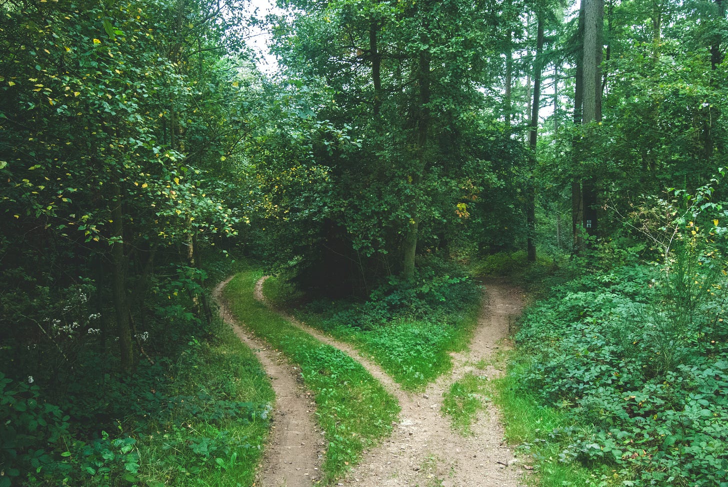 Two dirt paths diverging in a green forest by Jens Lelie from Unsplash.