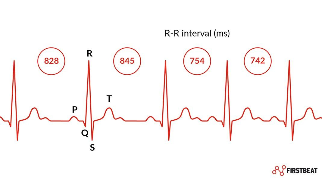 What is Heart Rate Variability (HRV) & why does it matter? | Firstbeat Blog