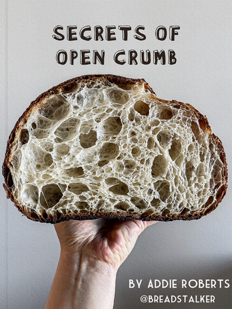 Tried out Full Proof Baking's method for getting a really open crumb. It  worked! : r/Breadit