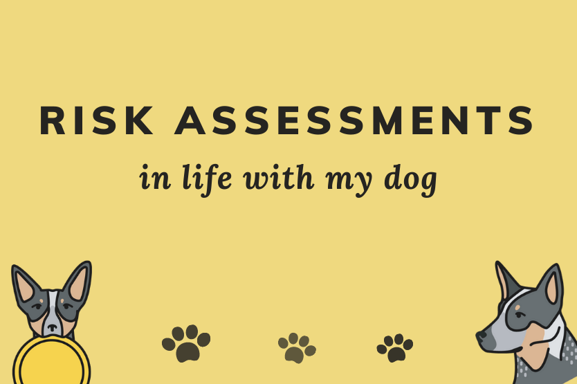 A banner that says "risk assessments in life with my dog" atop a yellow background with illustrations of Scout the Australian cattle dog