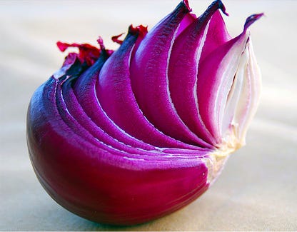 A lovely red onion, layers separated to show the progress to the core.