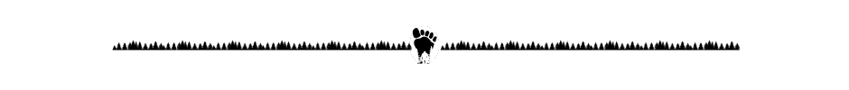 Bigfoot sillhouette in a foot surrounded by trees.