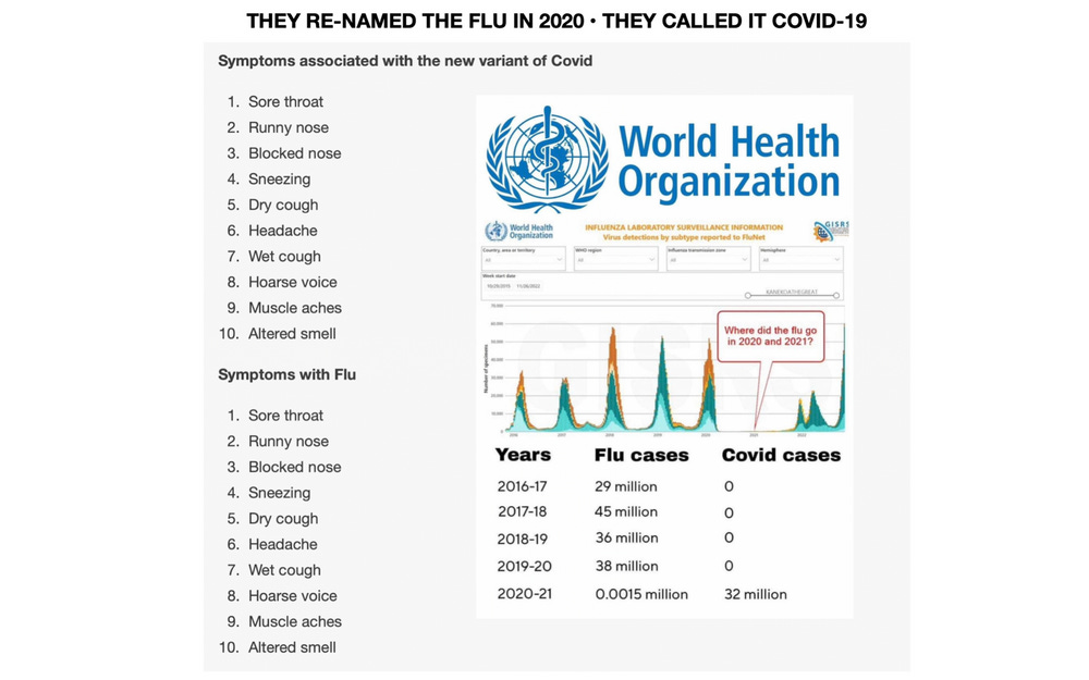They Re-Named The Flu In 2020 • They Called It COVID-19