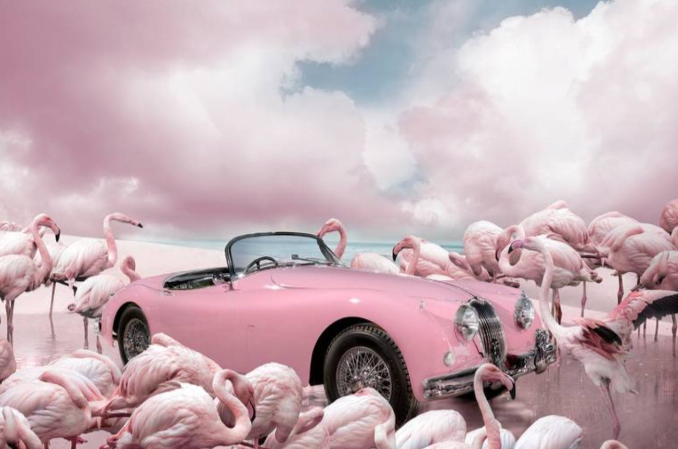 Descrição imagem: Colagem toda rosa com um carro conversível numa praia cercado por flamingos