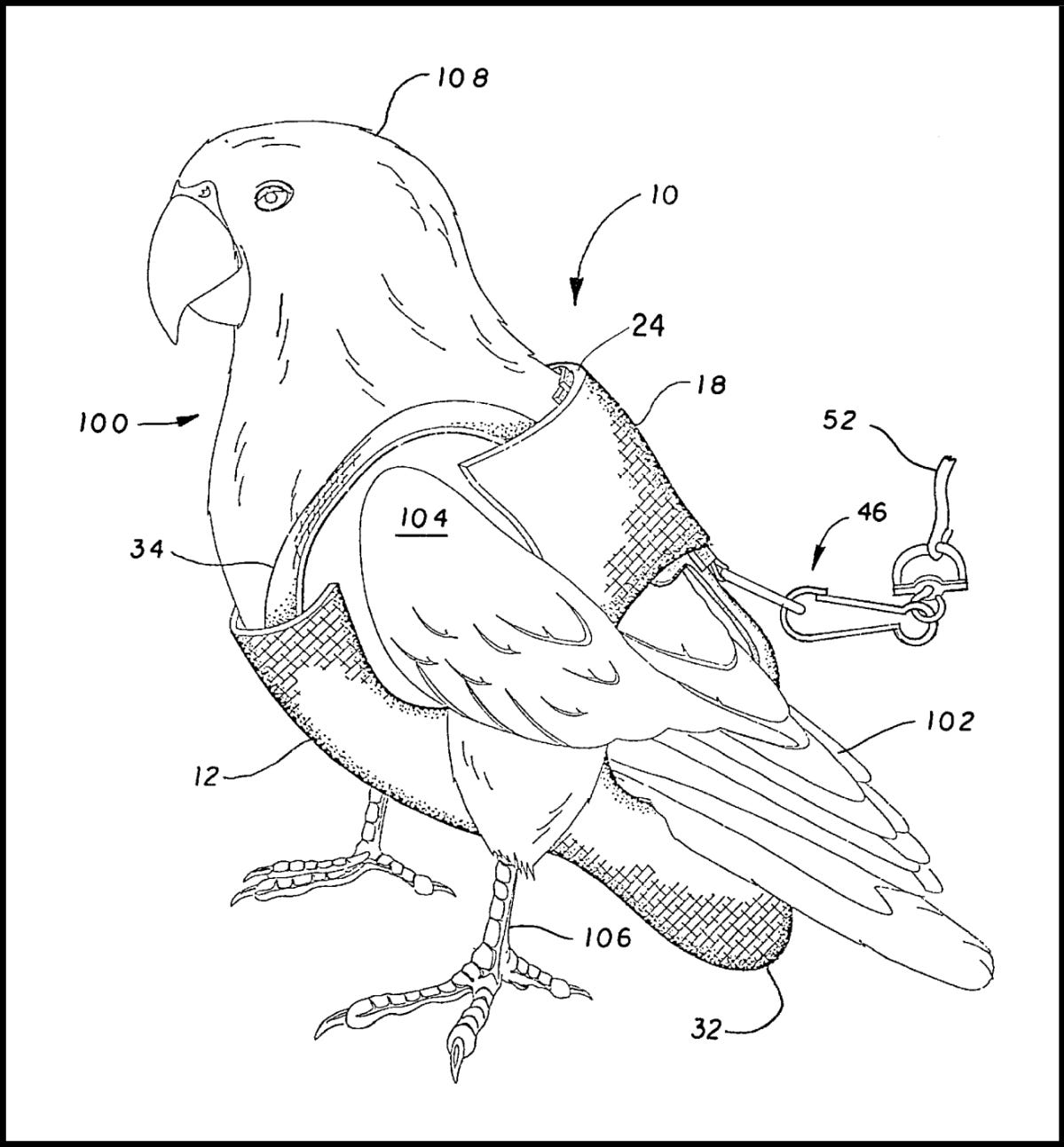 bird diaper patent