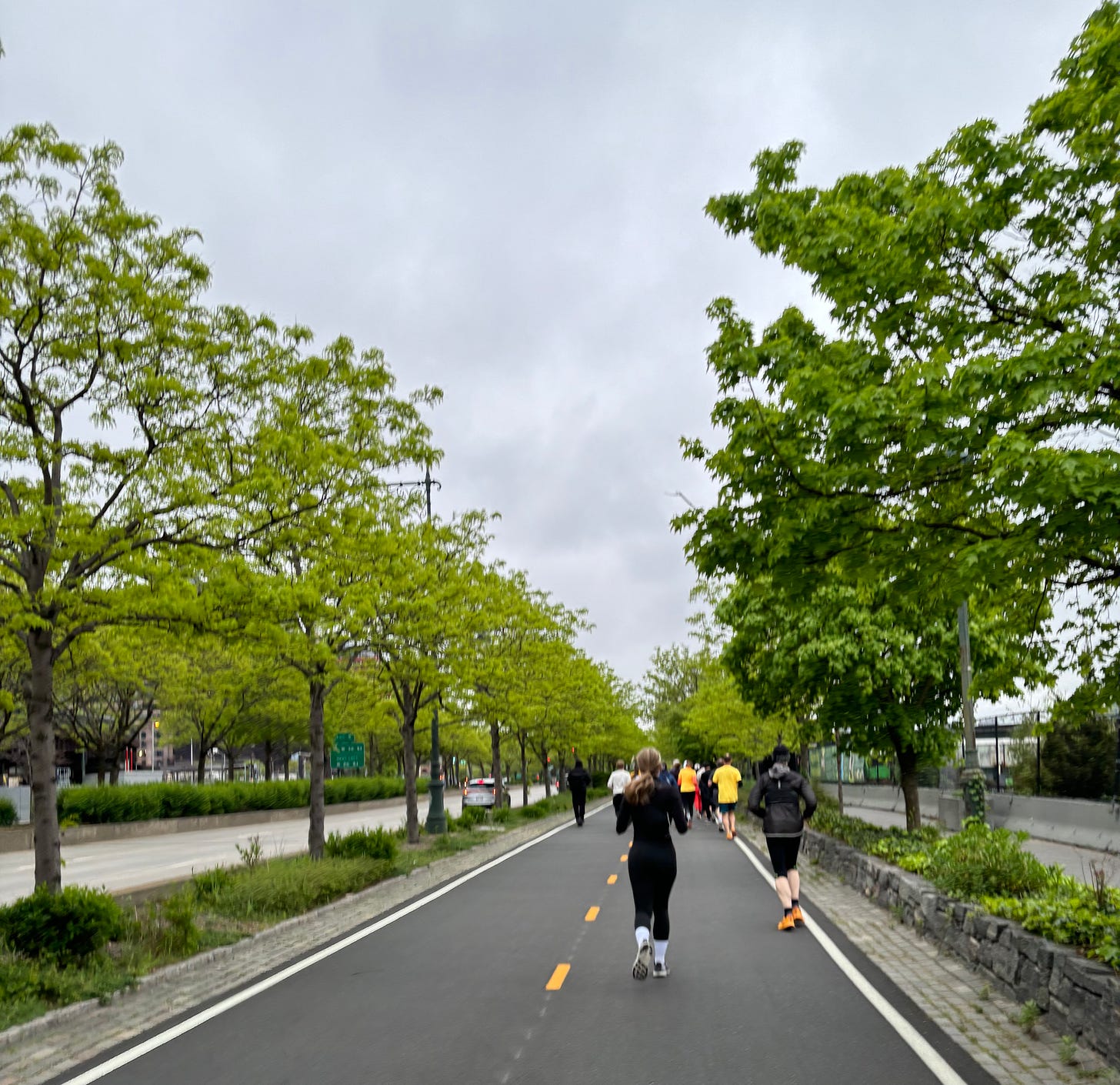 Wings for Life runners in New York’s Hudson River Park.