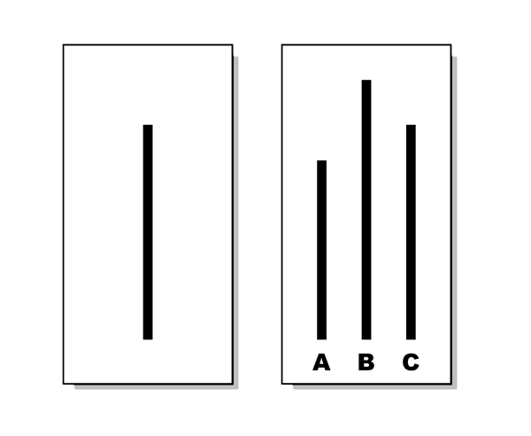Solomon Asch Experiment : Networks Course blog for INFO 2040/CS 2850/Econ  2040/SOC 2090