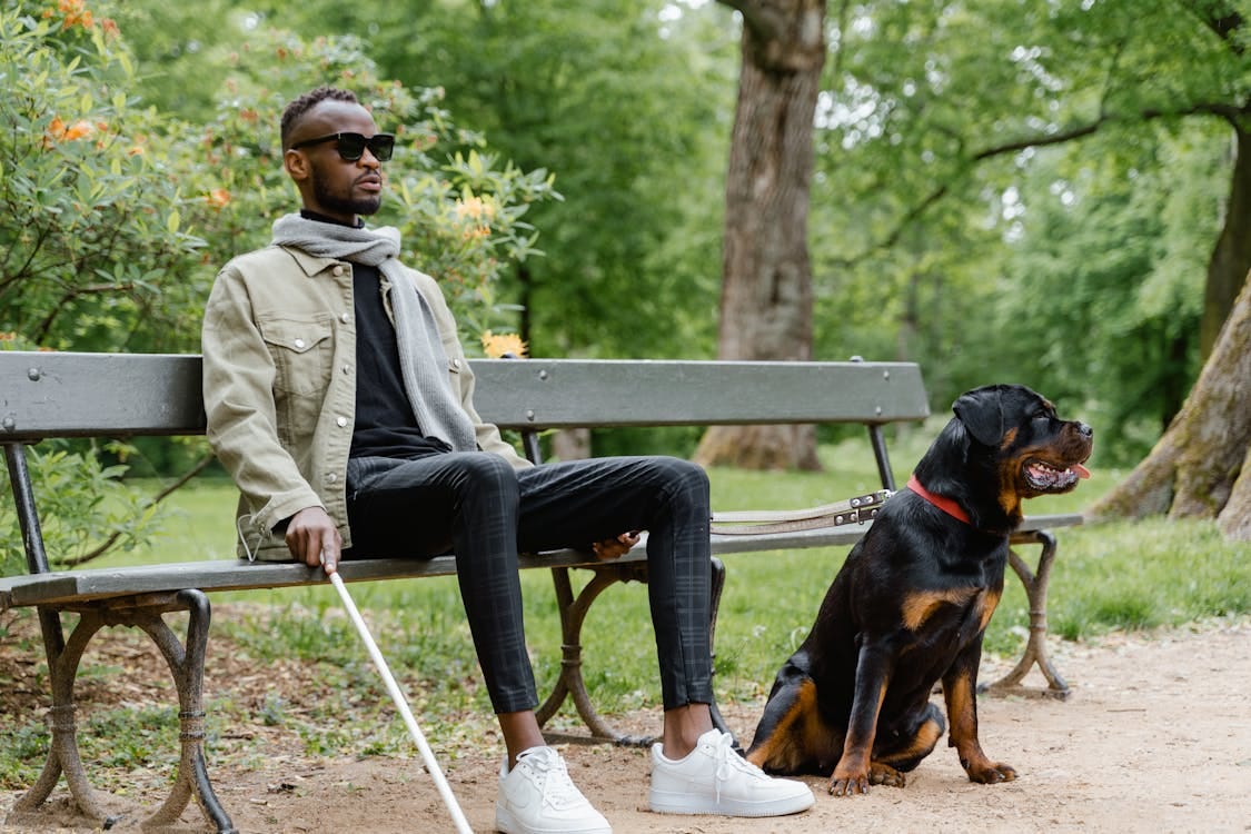 Free Man Sitting on a Bench with his Dog Stock Photo