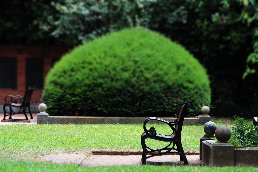 Shakespeare Garden @ Golden Gate Park | San Francisco, CA | Flickr