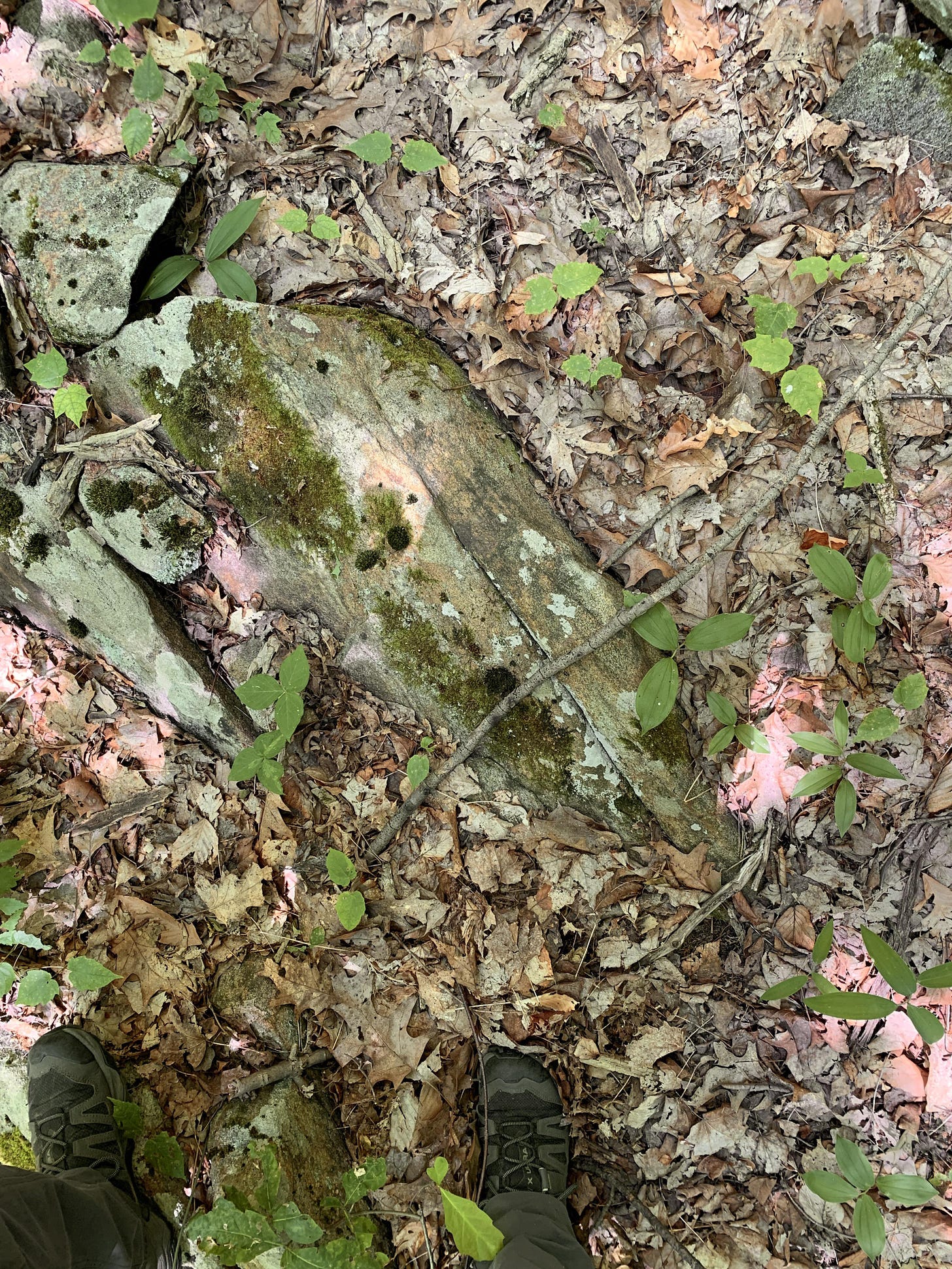 r/FindTheSniper - Find the copperhead