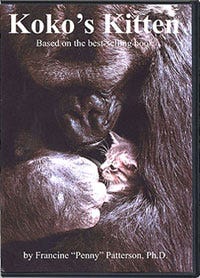 Koko's Kitten (DVD)