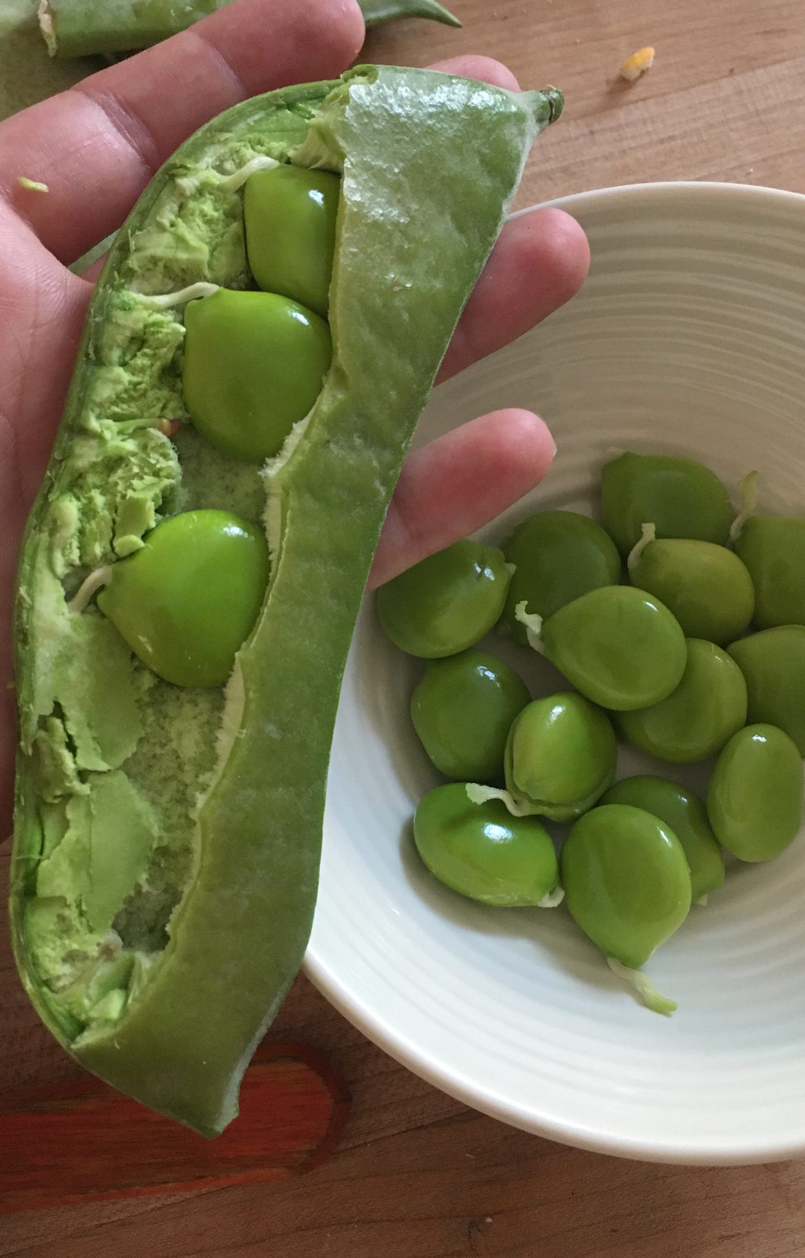 hand holding an opened unripe bean witht he peas exposed. a dozen or so shelled peas are piled into a nearby bowl