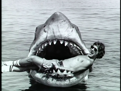 Bruce | Spielberg Wiki | Fandom