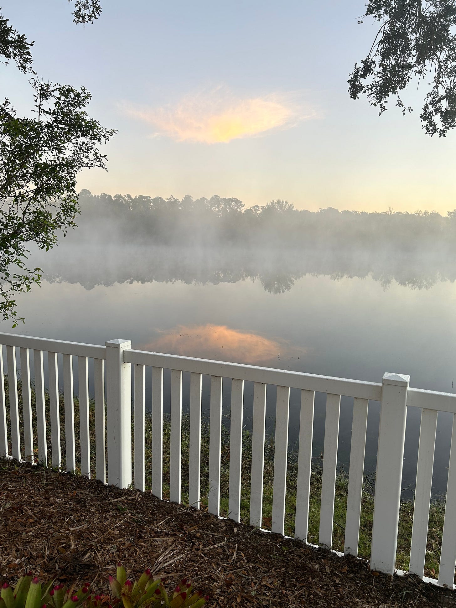 Pink-hued cloud reflected on a foggy pond during the morning sunrise.