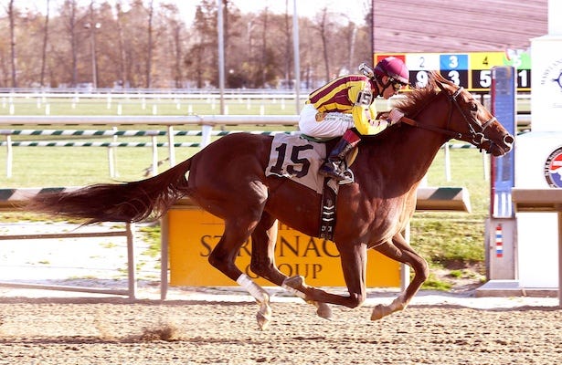 irish war cry 2017 kentucky derby picks