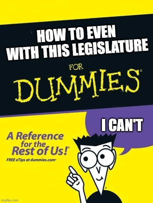 Cover of a How to For Dummies book titled "How to Even at this Legislature"