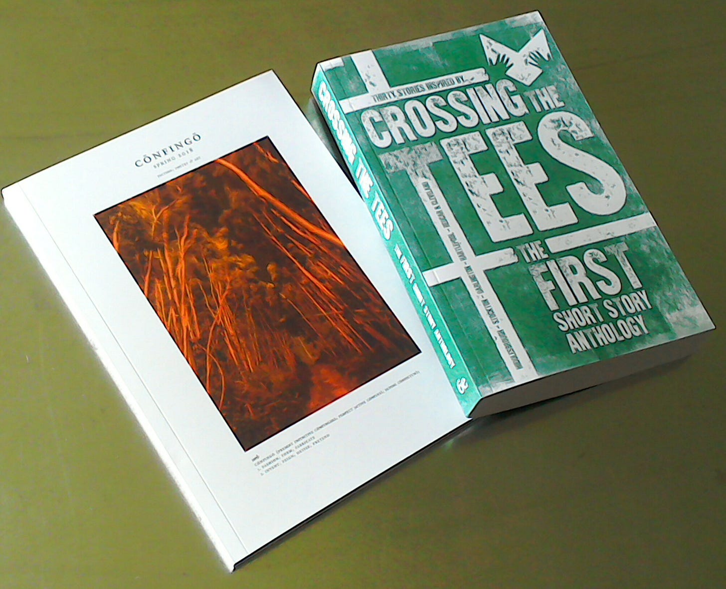 Confingo 9 and Crossing the Tees anthology Confingo 9 and Crossing the Tees anthology