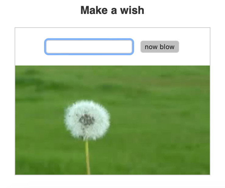 Website screenshot inviting you to make a wish!