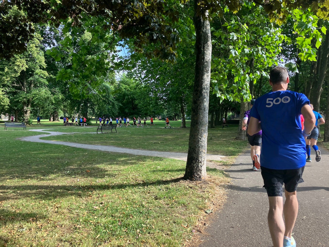 Runners making their way along tree-lined paths