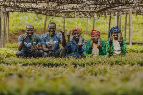 Rwandan farmers hold up saplings to plant on their farms