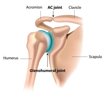 Shoulder Anatomy - Shoulder Girdle and Shoulder joint Explained