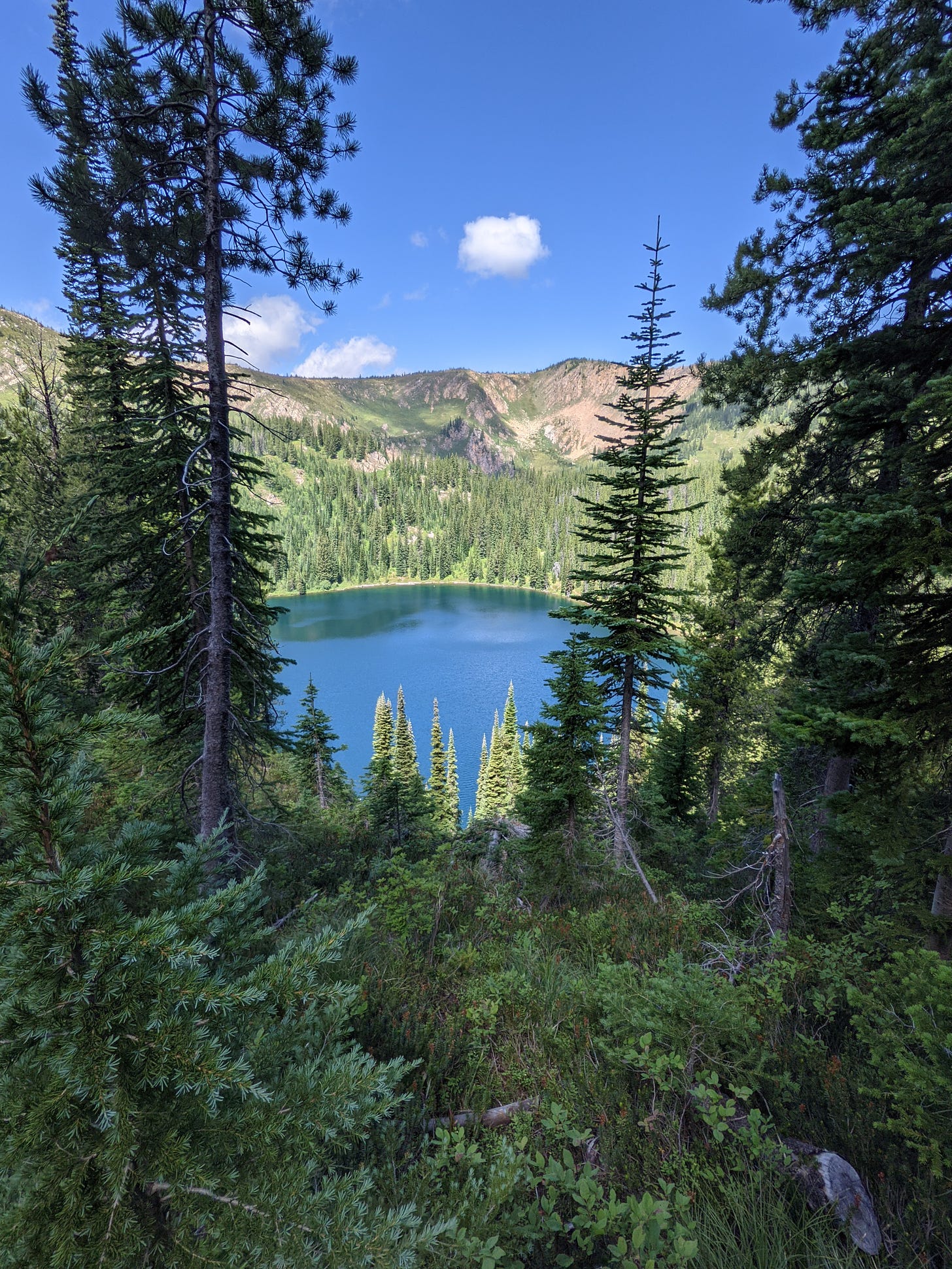 Alpine lake nestled in coniferous trees surrounded by mountains